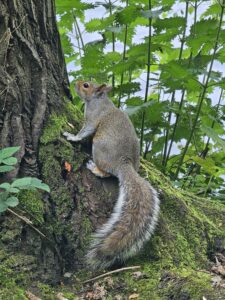 A long climb - Sue Gilmore