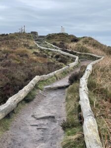 Bosley Cloud - George Wood