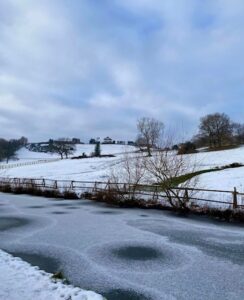 Icy Marple - Louise Gallagher