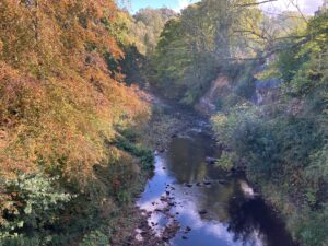 River - Lesley Parkinson