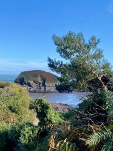 Sunny Devon - Louise Gallagher