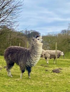 Thinking… - Louise Gallagher