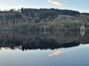 Time for Reflection - Trevor Lush