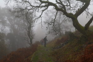 Wildboar clough - George Wood