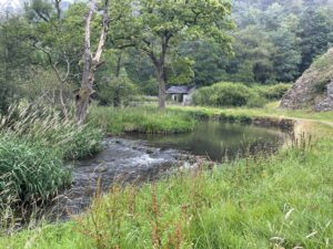 Wolfscote Dale - George Wood