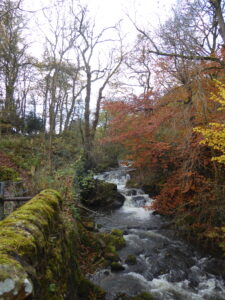 Autumn
