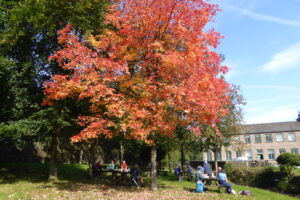 Autumn Lunch at the Mill