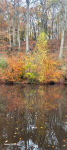Autumn in Etherow