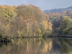 Autumn reflections