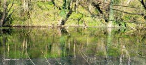 Bradford Dale