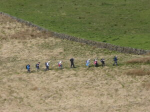 Follow the leader