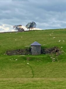 On the moors